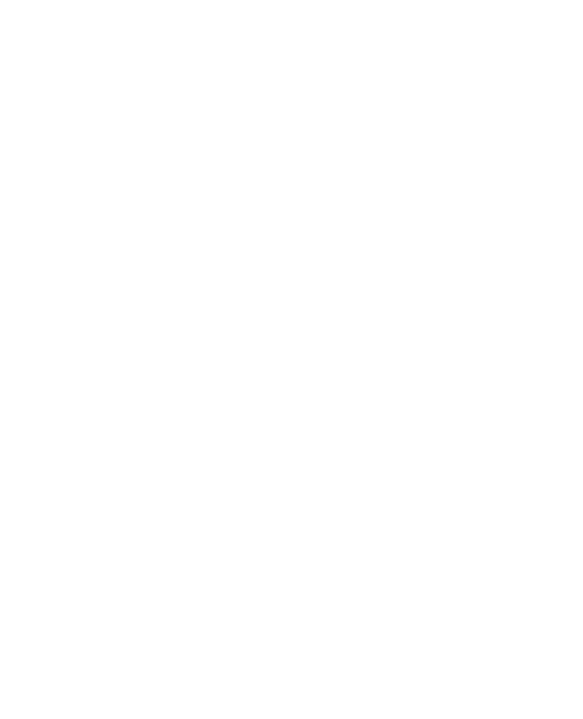 Skiss pellmax ub