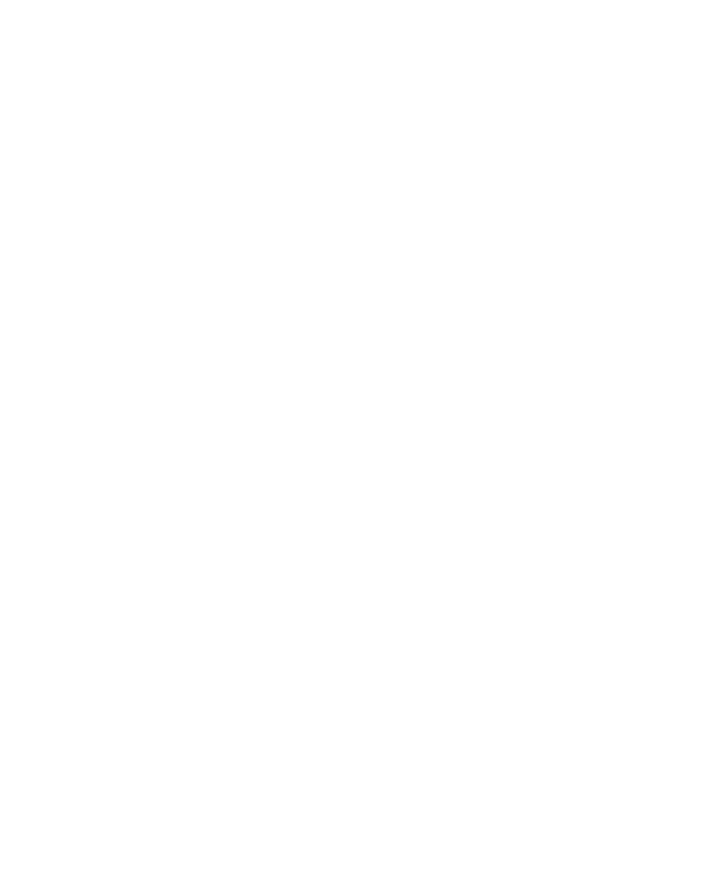 Skiss pellmax vx
