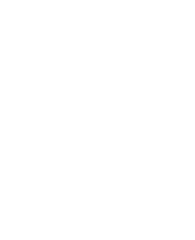 Skiss vedolux 40 plus